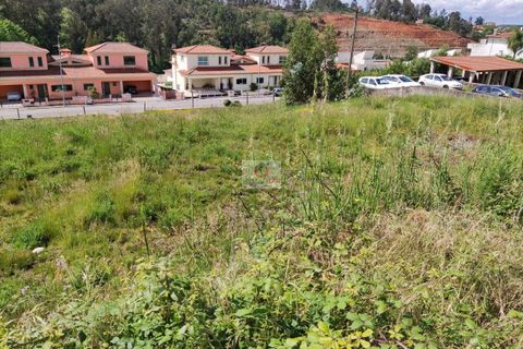 Helårsgrund i Agueda, Aveiro, Agueda - € 22.000 | Ref: 1028 - foto 3