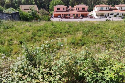 Helårsgrund i Agueda, Aveiro, Agueda - € 22.000 | Ref: 1028 - foto 6