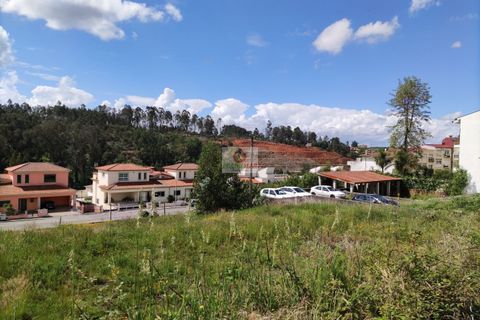 Helårsgrund i Agueda, Aveiro, Agueda - € 22.000 | Ref: 1028 - foto 9