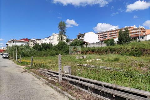 Helårsgrund i Agueda, Aveiro, Agueda - € 22.000 | Ref: 1028 - foto 13