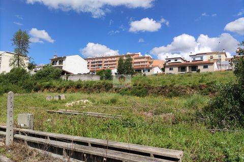 Helårsgrund i Agueda, Aveiro, Agueda - € 22.000 | Ref: 1028 - foto 15