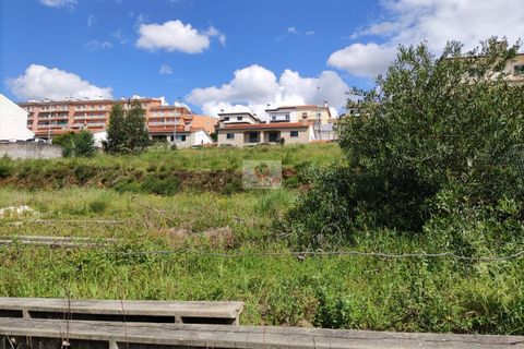 Helårsgrund i Agueda, Aveiro, Agueda - € 22.000 | Ref: 1028 - foto 16