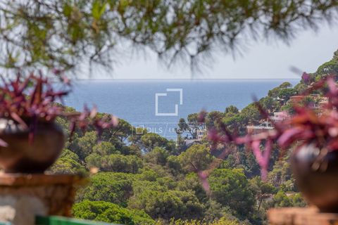 Villa em Lloret De Mar, Gerona, Lloret De Mar - € 1.350.000 | Ref: CBR28558 - foto 44