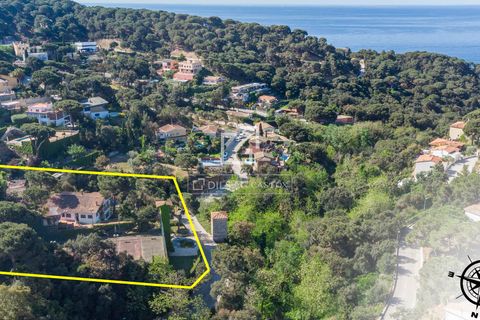 Villa em Lloret De Mar, Gerona, Lloret De Mar - € 1.350.000 | Ref: CBR28558 - foto 46