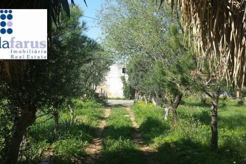Helårsgrund i Olhao, Faro, Olhao - € 350.000 | Ref: TER801 - foto 6