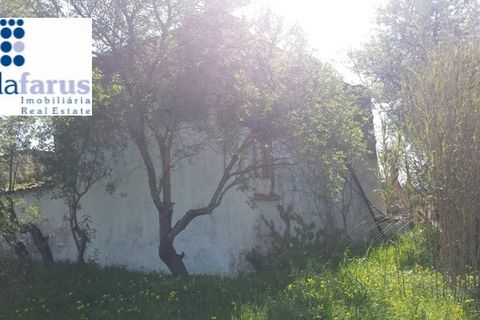 Helårsgrund i Olhao, Faro, Olhao - € 350.000 | Ref: TER801 - foto 7