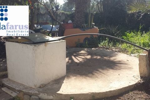 Helårsgrund i Olhao, Faro, Olhao - € 350.000 | Ref: TER801 - foto 8