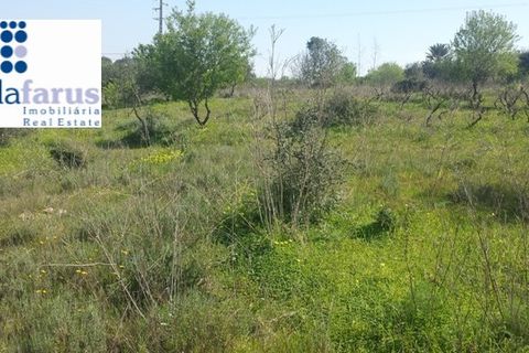Helårsgrund i Olhao, Faro, Olhao - € 350.000 | Ref: TER801 - foto 10
