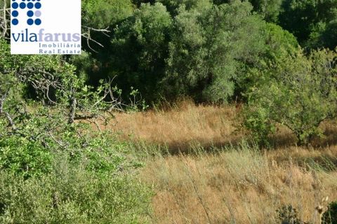 Helårsgrund i Olhao, Faro, Olhao - € 15.000 | Ref: TER3732 - foto 4