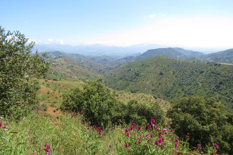Cortijo i Colmenar, Malaga, Colmenar - € 285.000 | Ref: AX1072 - foto 31