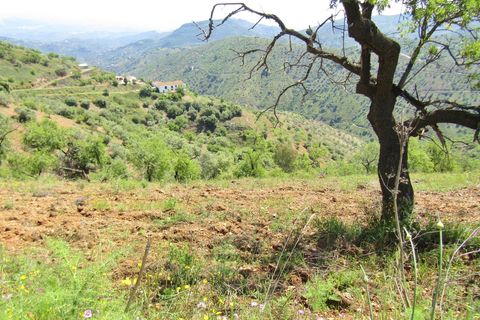 Cortijo i Colmenar, Malaga, Colmenar - € 285.000 | Ref: AX1072 - foto 29
