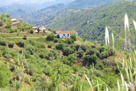 Cortijo i Colmenar, Malaga, Colmenar - € 285.000 | Ref: AX1072 - foto 32