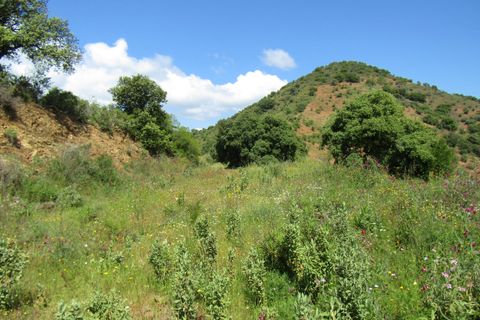 Cortijo i Colmenar, Malaga, Colmenar - € 285.000 | Ref: AX1072 - foto 33