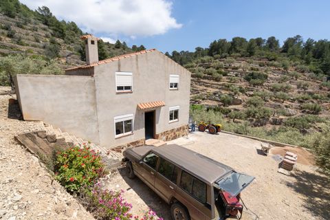 Landejendom i Tortosa, Tarragona, Tortosa - € 65.000 | Ref: 527 - foto 22