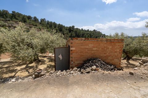 Landejendom i Tortosa, Tarragona, Tortosa - € 65.000 | Ref: 527 - foto 16