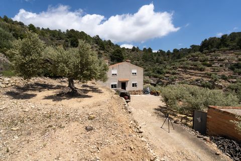 Landejendom i Tortosa, Tarragona, Tortosa - € 65.000 | Ref: 527 - foto 23