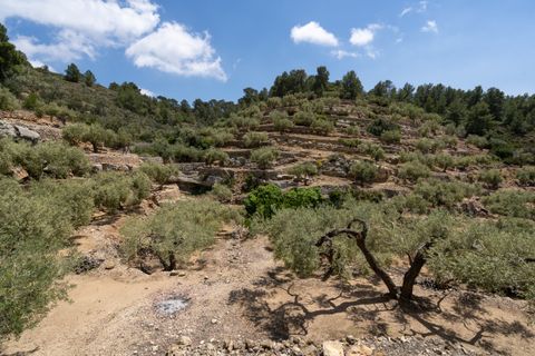 Landejendom i Tortosa, Tarragona, Tortosa - € 65.000 | Ref: 527 - foto 24