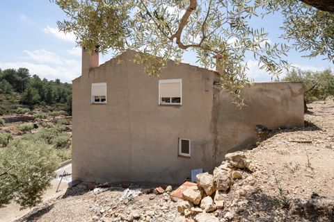 Landejendom i Tortosa, Tarragona, Tortosa - € 65.000 | Ref: 527 - foto 21
