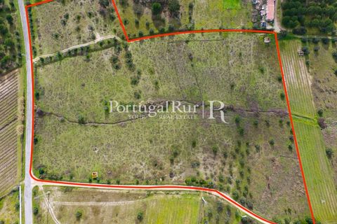 Landejendom i Cabecao, Evora, Cabecao - € 150.000 | Ref: 1964 - foto 2