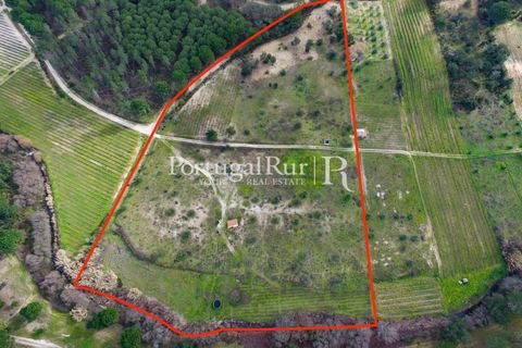 Landejendom i Cabecao, Evora, Cabecao - € 150.000 | Ref: 1964 - foto 3