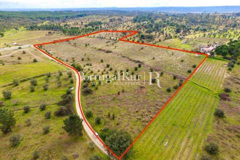 Landejendom i Cabecao, Evora, Cabecao - € 150.000 | Ref: 1964 - foto 4