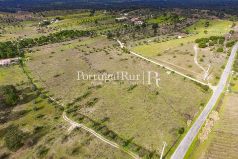 Landejendom i Cabecao, Evora, Cabecao - € 150.000 | Ref: 1964 - foto 5