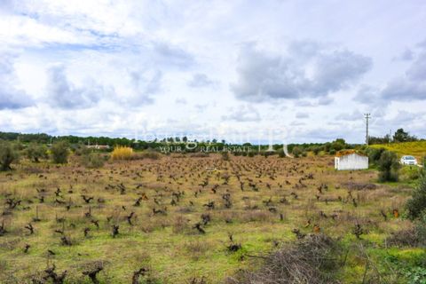 Landejendom i Cabecao, Evora, Cabecao - € 150.000 | Ref: 1964 - foto 6