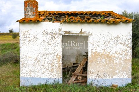 Landejendom i Cabecao, Evora, Cabecao - € 150.000 | Ref: 1964 - foto 8