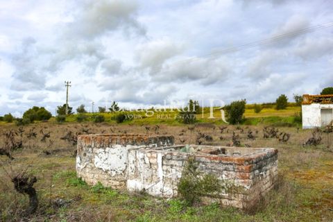 Landejendom i Cabecao, Evora, Cabecao - € 150.000 | Ref: 1964 - foto 9