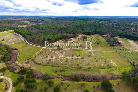 Landejendom i Cabecao, Evora, Cabecao - € 150.000 | Ref: 1964 - foto 12