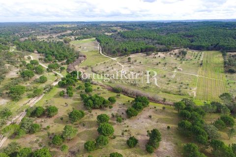 Landejendom i Cabecao, Evora, Cabecao - € 150.000 | Ref: 1964 - foto 13
