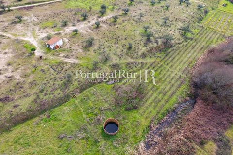 Landejendom i Cabecao, Evora, Cabecao - € 150.000 | Ref: 1964 - foto 14