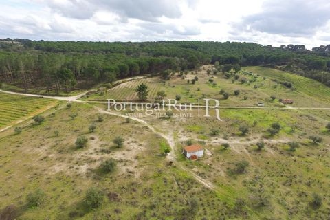 Landejendom i Cabecao, Evora, Cabecao - € 150.000 | Ref: 1964 - foto 16