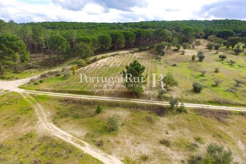 Landejendom i Cabecao, Evora, Cabecao - € 150.000 | Ref: 1964 - foto 17