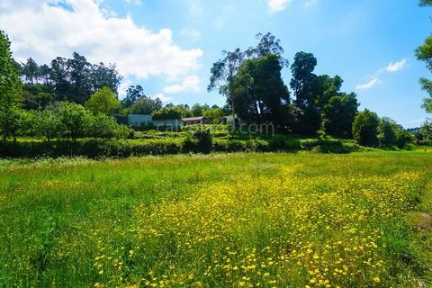 Helårsgrund i Valenca, Viana do Castelo, Valenca - € 60.000 | Ref: 3685 - foto 3