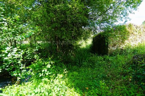 Helårsgrund i Valenca, Viana do Castelo, Valenca - € 60.000 | Ref: 3685 - foto 6
