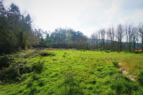 Helårsgrund i Viana do Castelo, Viana do Castelo, Viana do Castelo - € 75.000 | Ref: 3664 - foto 2