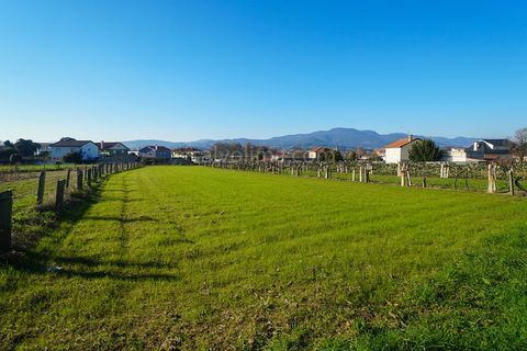 Helårsgrund i Ganfei, Viana do Castelo, Ganfei - € 35.000 | Ref: 3656 - foto 2