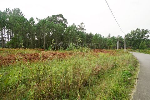 Helårsgrund i Fontoura, Viana do Castelo, Fontoura - € 77.000 | Ref: 3644 - foto 2