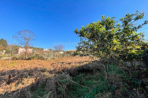 Helårsgrund i Ganfei, Viana do Castelo, Ganfei - € 85.000 | Ref: 3438 - foto 6