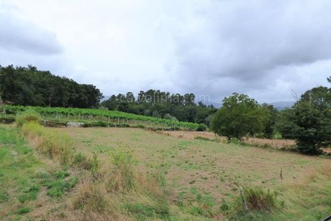 Tomt i Cambeses, Viana do Castelo, Cambeses - € 37 000 | Ref: 3341 - foto 2