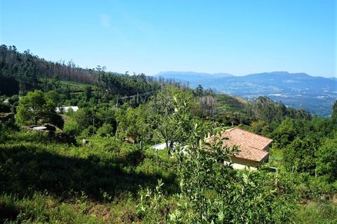Helårsgrund i Gandra e Taiao, Viana do Castelo, Gandra e Taiao - € 35.000 | Ref: 3265 - foto 2