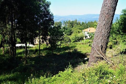 Helårsgrund i Gandra e Taiao, Viana do Castelo, Gandra e Taiao - € 35.000 | Ref: 3265 - foto 3