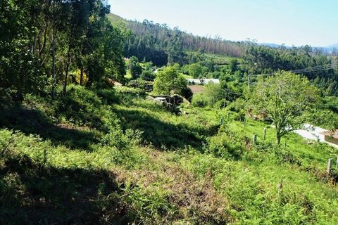Helårsgrund i Gandra e Taiao, Viana do Castelo, Gandra e Taiao - € 35.000 | Ref: 3265 - foto 1