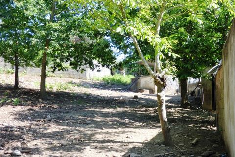 Tomt i Ceivaes e Badim, Viana do Castelo, Ceivaes e Badim - € 95 000 | Ref: 2854 - foto 2