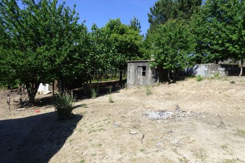 Tomt i Ceivaes e Badim, Viana do Castelo, Ceivaes e Badim - € 95 000 | Ref: 2854 - foto 4