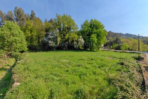 Helårsgrund i Melgaco, Viana do Castelo, Melgaco - € 45.000 | Ref: 2298 - foto 5