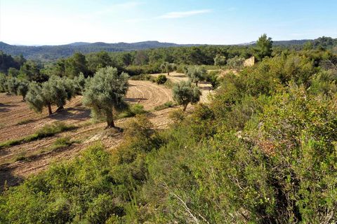 Finca i Maella, Zaragoza, Maella - € 24.000 | Ref: 0721 - foto 19