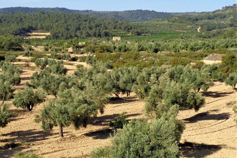 Finca i Maella, Zaragoza, Maella - € 24.000 | Ref: 0721 - foto 1