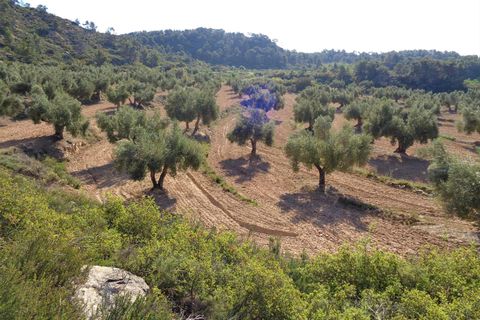Finca i Maella, Zaragoza, Maella - € 24.000 | Ref: 0721 - foto 17